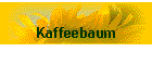 Kaffeebaum